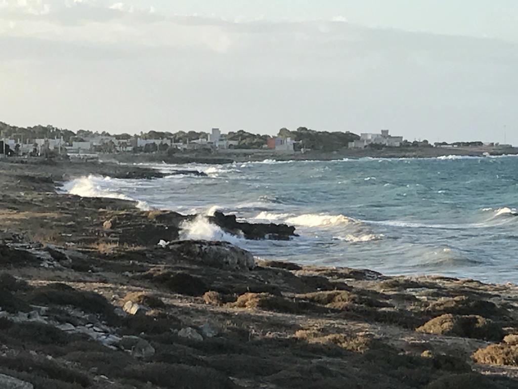 Albergo Europa Marina di Mancaversa Dış mekan fotoğraf